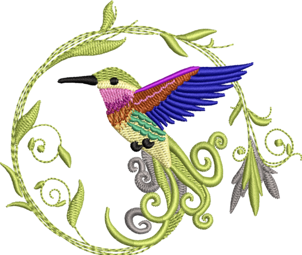 Colibrí