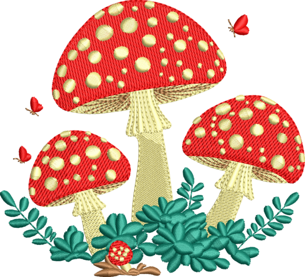 Hongos