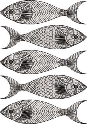 5 peces