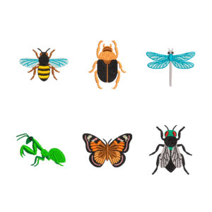 Colección insectos (mini diseños)