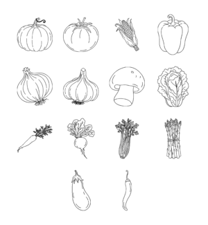Colección Vegetales