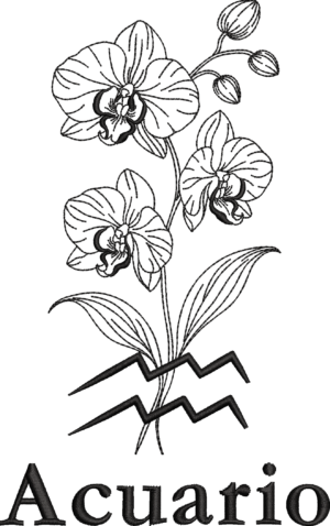 Signo Acuario Floral