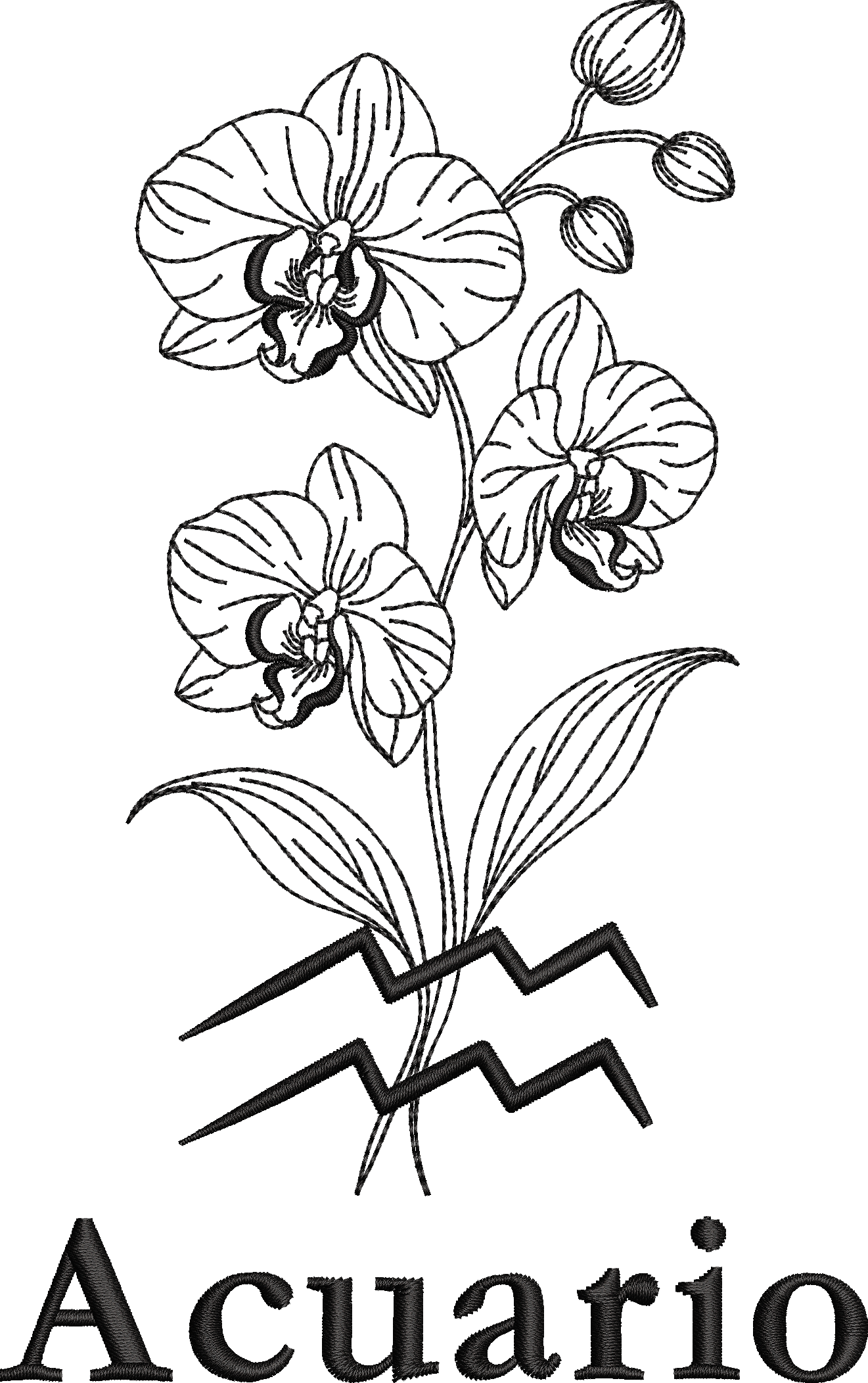 Signo Acuario Floral